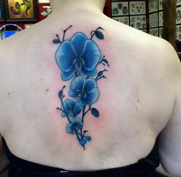 Tetoválás orchideákkal (57 fotók): Tattoo érték a lányoknak, vázlat áttekintés. Tetoválás a kezét és a lábát, a levegőt és a hátul, a vállon és a test más részein 14034_5