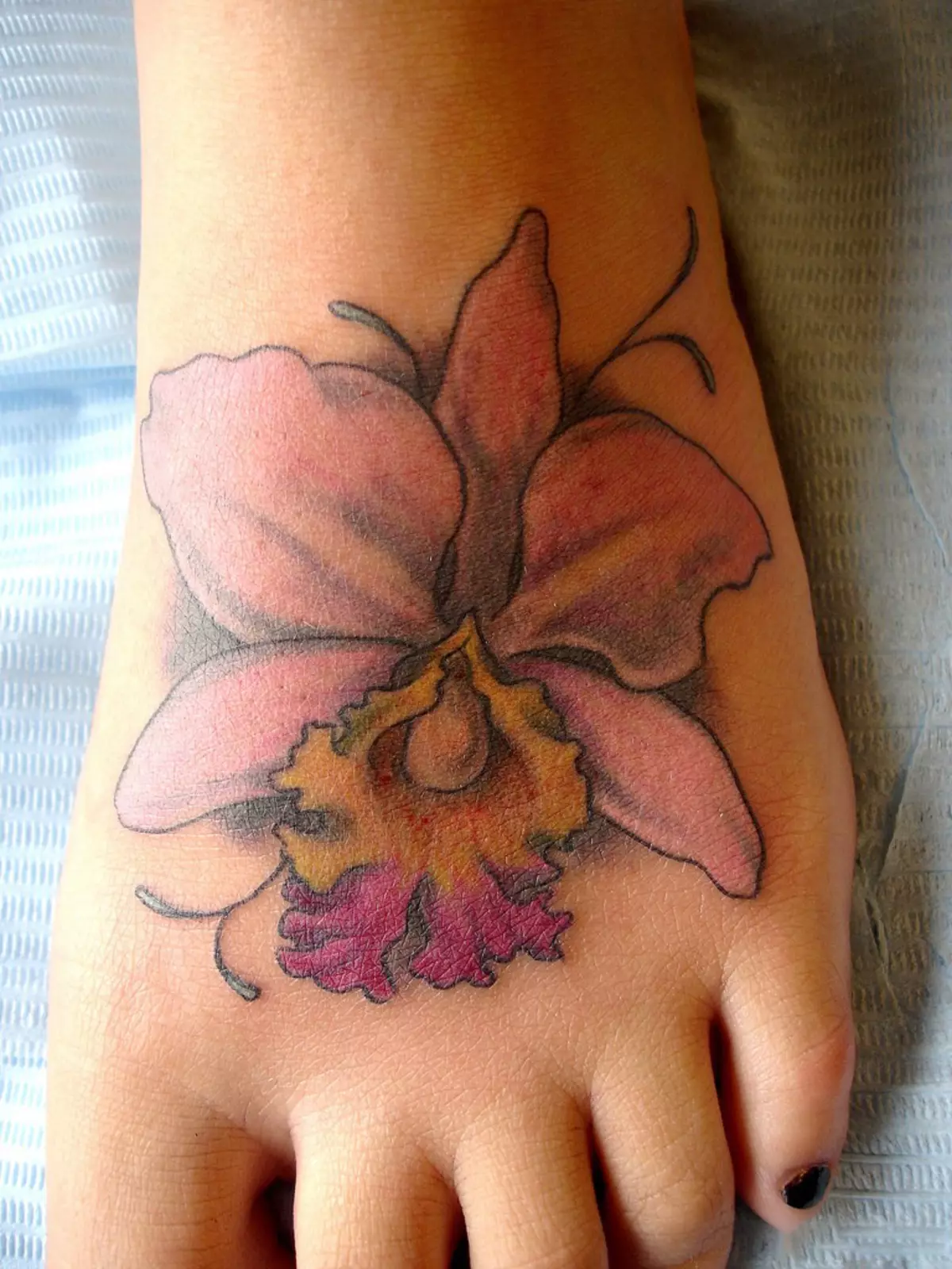 Орхидея на ноге