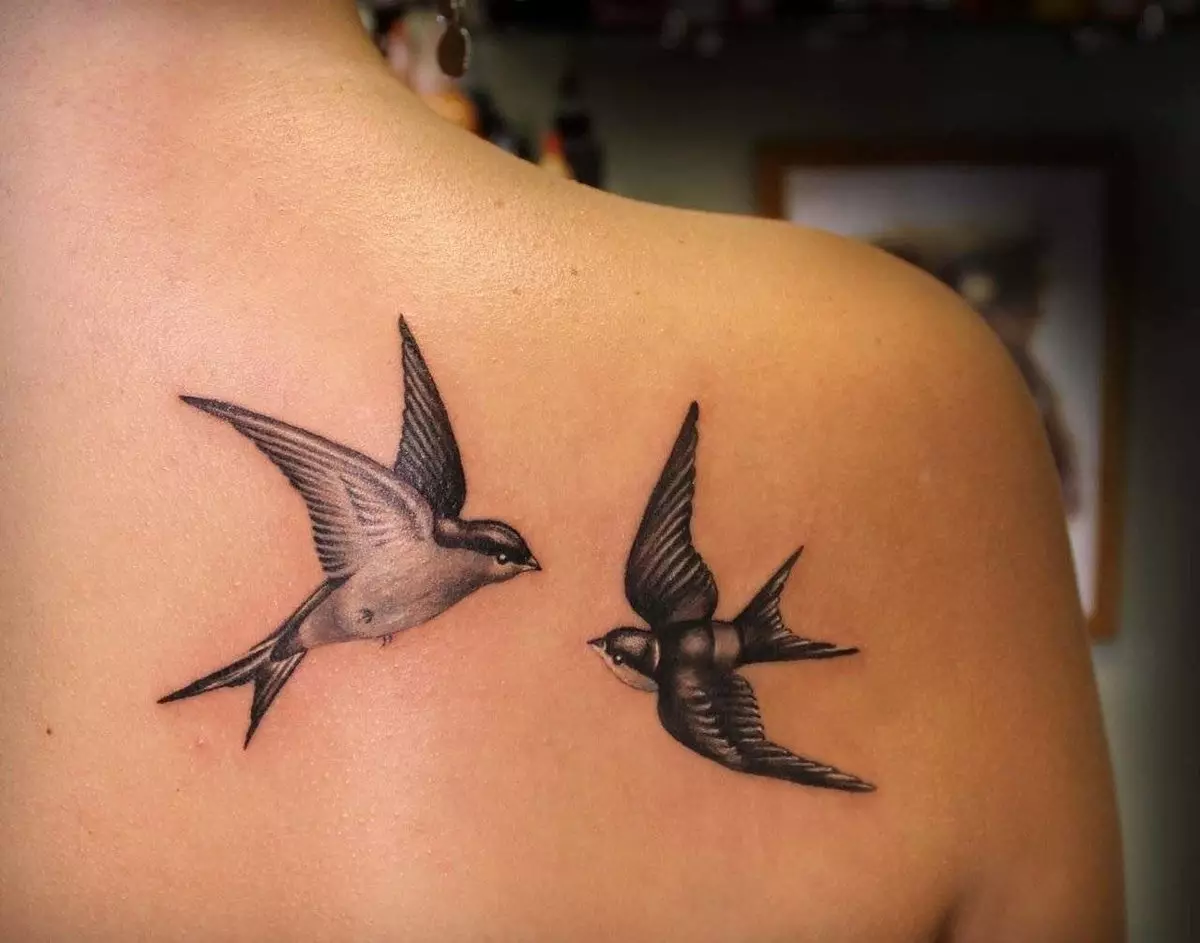 女の子のための入れ墨の鳥：意味とスケッチ。肩の上の鳥とシャベル、背中の上、肋骨やその他の場所に入れ墨をしたタトゥー