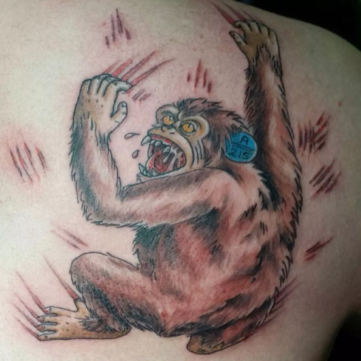 Tattoo med apekatter: Verdien av tatoveringer, tatovering på navlen og magen, på hånden og på brystet, eksempler på skisser, tatovering for menn og kvinner 14056_10