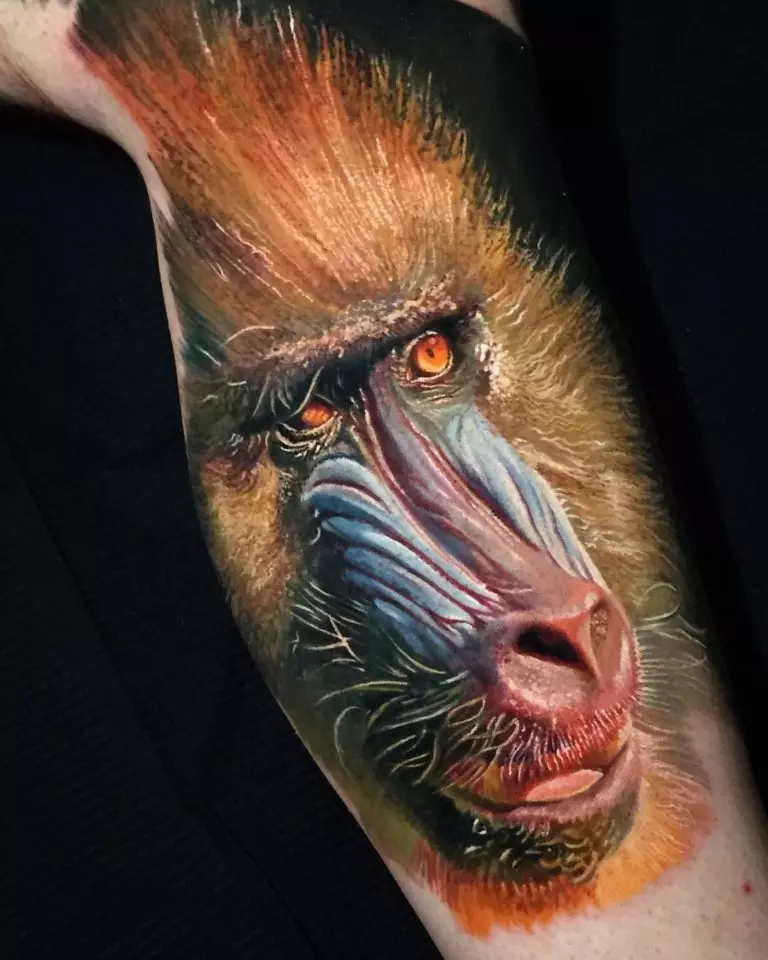 Een met ape: die waarde van tattoos, tatoo op die naeltjie en maag, op die hand en op die bors, voorbeelde van sketse, tatoo vir mans en vir vroue 14056_26