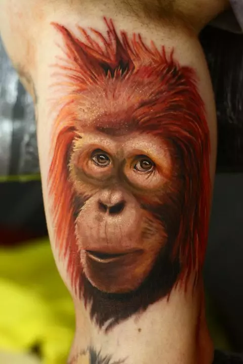 Een met ape: die waarde van tattoos, tatoo op die naeltjie en maag, op die hand en op die bors, voorbeelde van sketse, tatoo vir mans en vir vroue 14056_3