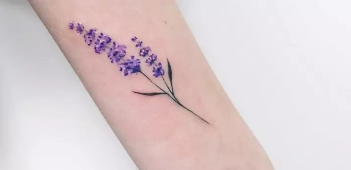 Tattoo sa grane: skice, tetovažu na ruci i na ključne kosti, na nozi i na zglobu, njihovo značenje za djevojčice i za muškarce. Grane sa lišćem i druge opcije 14061_22