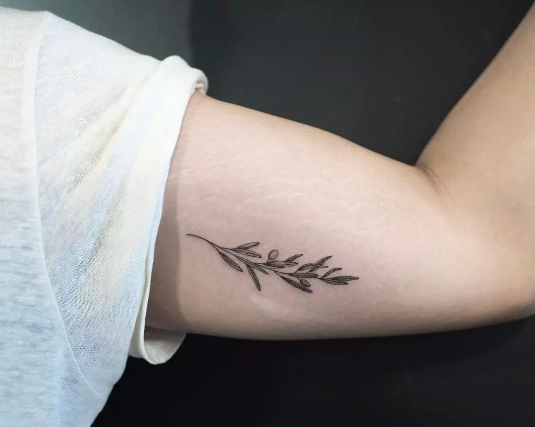 Tatuaj cu ramuri: schițe, tatuaj la îndemână și pe clavicule, pe picior și pe încheietura mâinii, sensul lor pentru fete și pentru bărbați. Ramuri cu frunze și alte opțiuni 14061_29