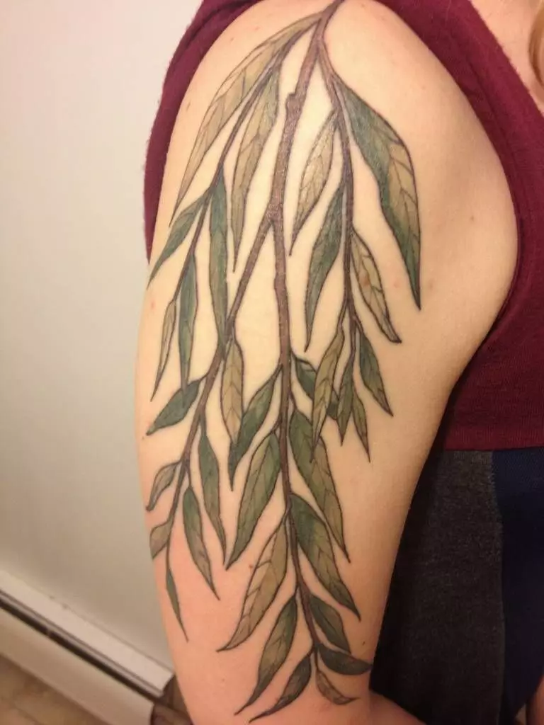 Tatuatge amb branques: esbossos, tatuatge a la mà i a la clavícula, a la cama i al canell, el seu significat per a les nenes i pels homes. Branques amb fulles i altres opcions 14061_43