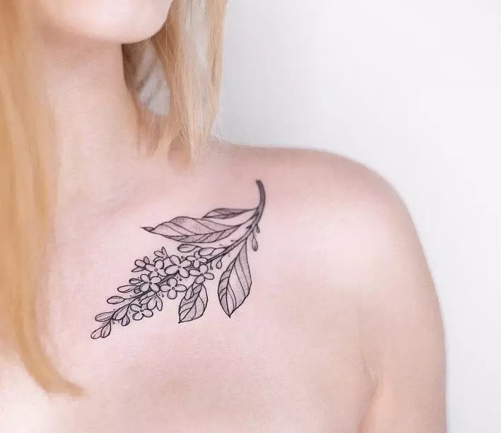 Tattoo sa grane: skice, tetovažu na ruci i na ključne kosti, na nozi i na zglobu, njihovo značenje za djevojčice i za muškarce. Grane sa lišćem i druge opcije 14061_66