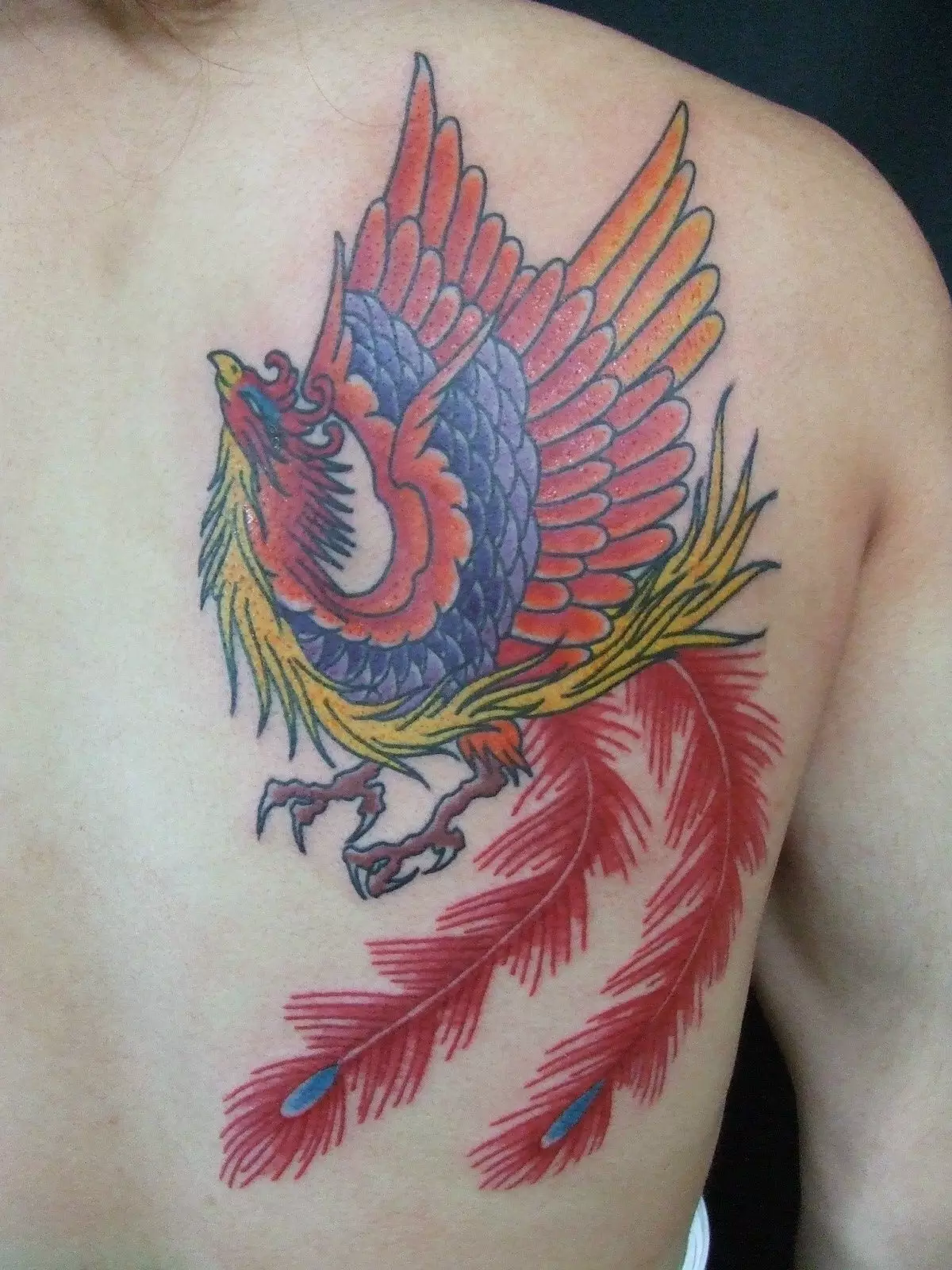 Tatuaj „Pasarea de foc“: valoare, schite de tatuaje pentru fete și bărbați. Tatuaj pe stomac, pe o parte, șold sau în altă parte 14069_15