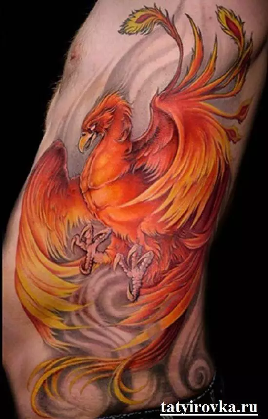 紋身“Firebird”：價值，女孩和男人的紋身素描。胸衣上的肚子，手上，臀部或其他地方 14069_22