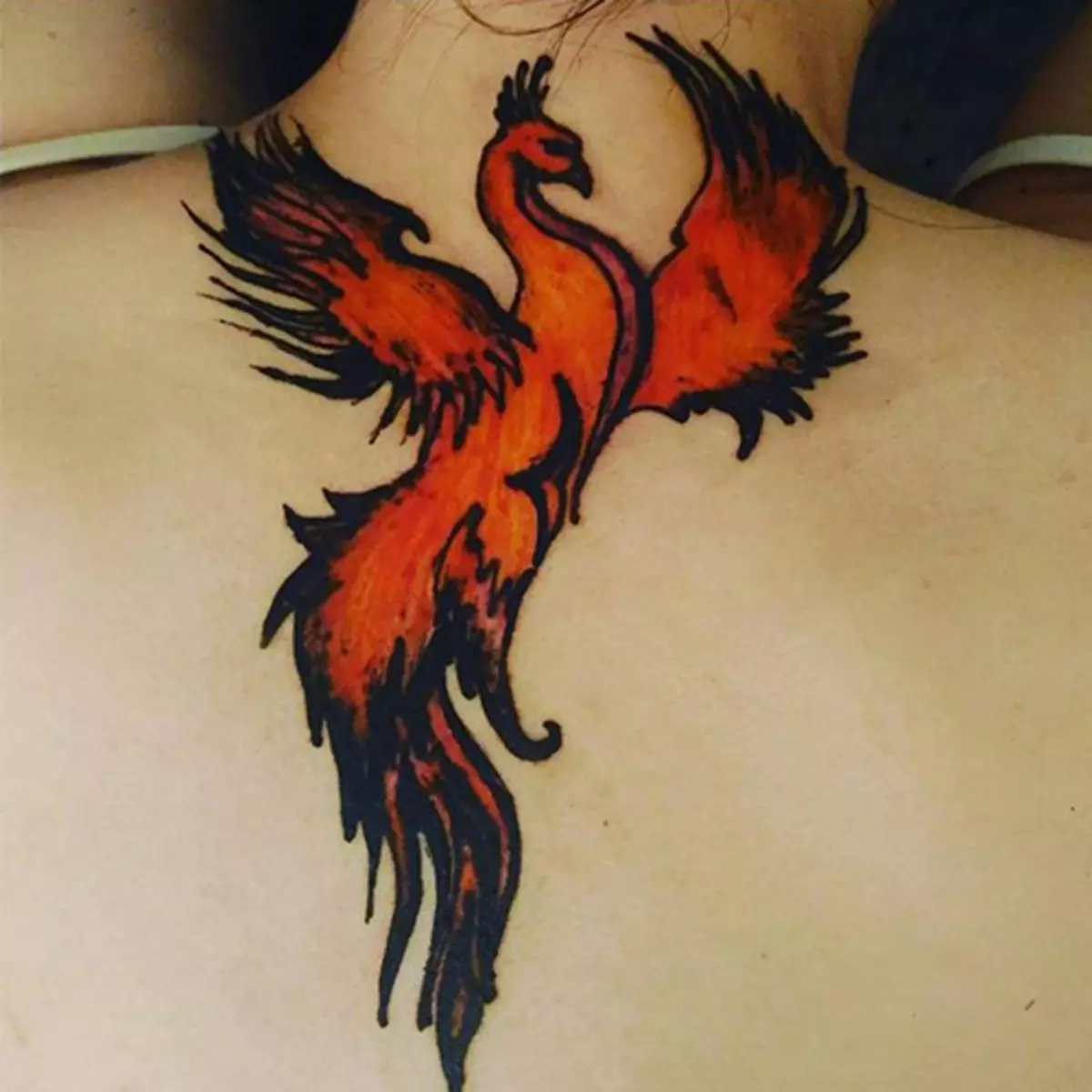 Tatuaj „Pasarea de foc“: valoare, schite de tatuaje pentru fete și bărbați. Tatuaj pe stomac, pe o parte, șold sau în altă parte 14069_43