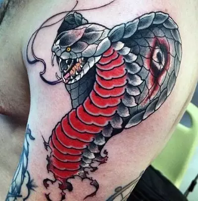 Cobra Tattoo (48 Sary): Tato-pitaovana sy sketôma ary tatoazy, tatoazy amin'ny tanana sy tendany, mandeha an-tongotra sy miverina, any amin'ny faritra hafa ho an'ny zazavavy sy lehilahy hafa 14084_13