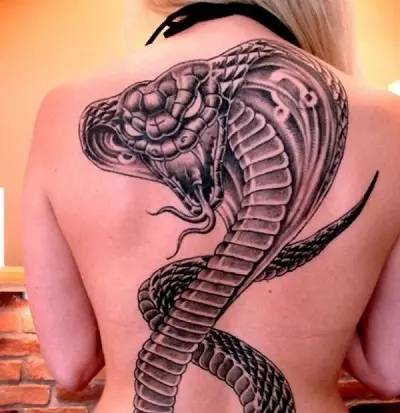 Cobra tetovaža (48 fotografija): tetoviranje i skice, tetovaža na ruci i vratu, pješice i nazad, u drugim zonama za djevojčice i muškarce 14084_14