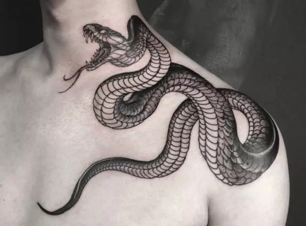 Cobra tetovaža (48 fotografija): tetoviranje i skice, tetovaža na ruci i vratu, pješice i nazad, u drugim zonama za djevojčice i muškarce 14084_3