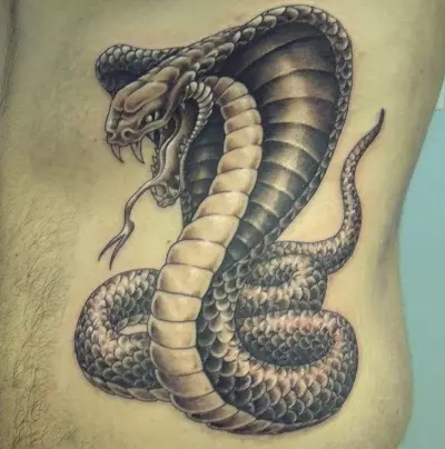 Cobra tetovaža (48 fotografija): tetoviranje i skice, tetovaža na ruci i vratu, pješice i nazad, u drugim zonama za djevojčice i muškarce 14084_31