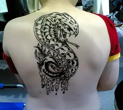 Кобра тетоважа (48 фотографии): Тетовирање и скици, тетоважа на рака и вратот, пеш и назад, во други зони за девојки и мажи 14084_35