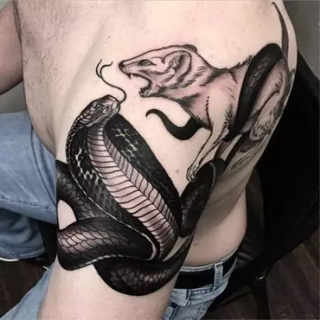 Cobra Tattoo (48 argazki): Tatuajeak eta zirriborroak, tatuajeak eskuan eta lepoan, oinez eta atzeko aldean, nesken eta gizonentzako beste zonalde batzuetan 14084_44