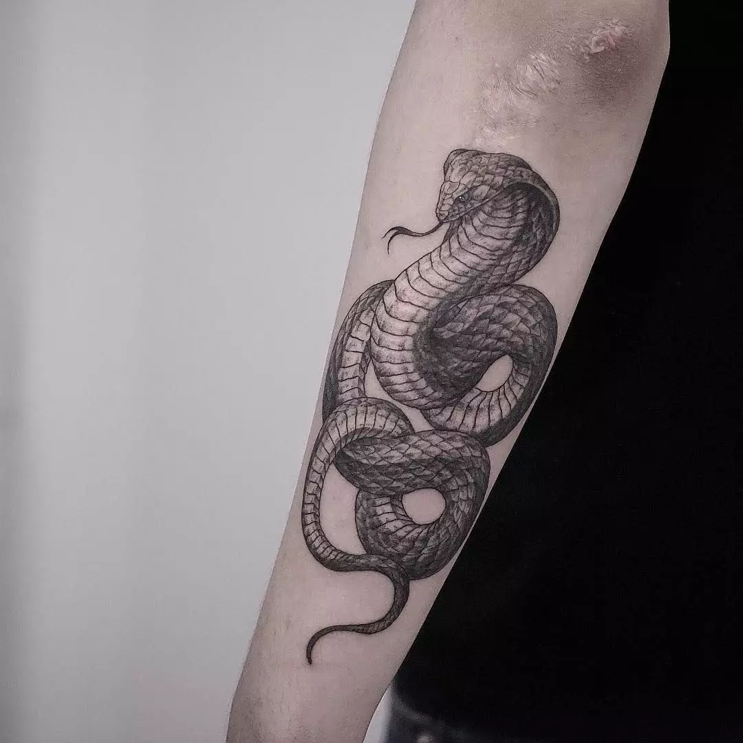 Cobra Tattoo (48 argazki): Tatuajeak eta zirriborroak, tatuajeak eskuan eta lepoan, oinez eta atzeko aldean, nesken eta gizonentzako beste zonalde batzuetan 14084_9