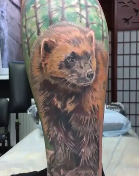 WOLVERINE TATTOO: admir de tatuaj animal, schițe pentru bărbați pentru bărbați, cele mai bune locuri pentru a aplica 14096_14