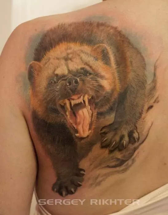 WOLVERINE TATTOO: admir de tatuaj animal, schițe pentru bărbați pentru bărbați, cele mai bune locuri pentru a aplica 14096_29