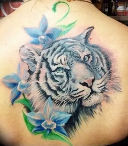Tattoo med en tiger for jenter (34 bilder): Betydning og skisser. Tattoo Tiger på hånden og på låret, på beinet og på baksiden, på håndleddet og på skulderen 14119_26
