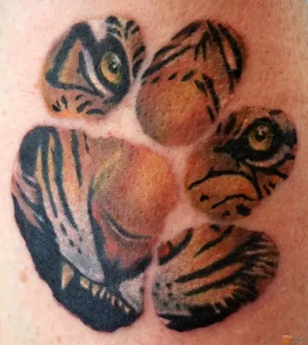 Тетоважа со тигар за девојки (34 фотографии): Значење и скици. Тетоважа тигар при рака и на бутот, на нога и на грб, на рачниот зглоб и на рамо 14119_34