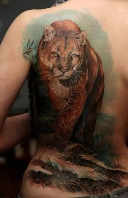 Puma နှင့်အတူ tattoo: မိန်းကလေးများနှင့်အမျိုးသားများအတွက်တက်တူးထိုးခြင်းနှင့်အမျိုးသားများအတွက်တက်တူးထိုးခြင်း, လက်နှင့်ပခုံးပေါ်တွင်, 14136_10