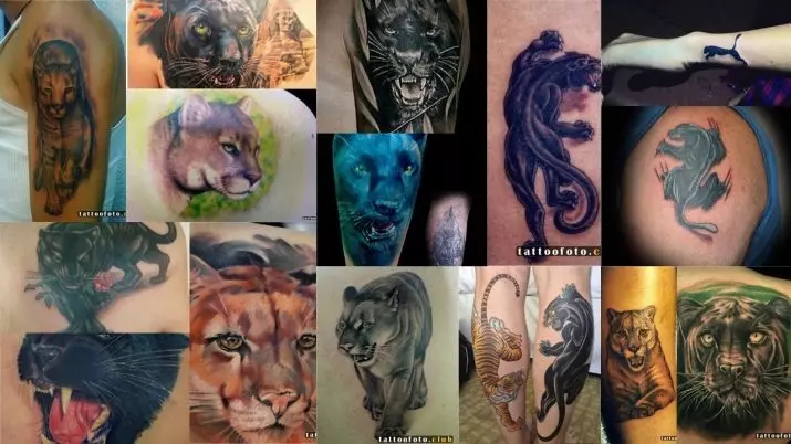 Tattoo coa puma: o valor e os bocetos de tatuaxes para nenas e para homes, tatuaxe na man e no ombreiro, no peito e no pé, no pescozo e noutras áreas 14136_13