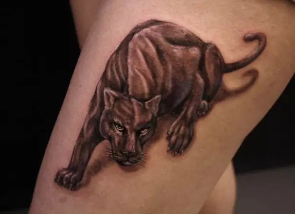 Tattoo s Puma: hodnota a náčrty tetovania pre dievčatá a pre mužov, tetovanie na ruke a na ramene, na hrudi a na nohe, na krku av iných oblastiach 14136_16