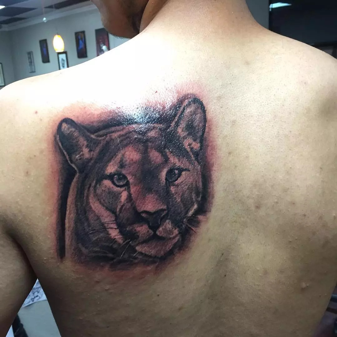 Puma နှင့်အတူ tattoo: မိန်းကလေးများနှင့်အမျိုးသားများအတွက်တက်တူးထိုးခြင်းနှင့်အမျိုးသားများအတွက်တက်တူးထိုးခြင်း, လက်နှင့်ပခုံးပေါ်တွင်, 14136_9
