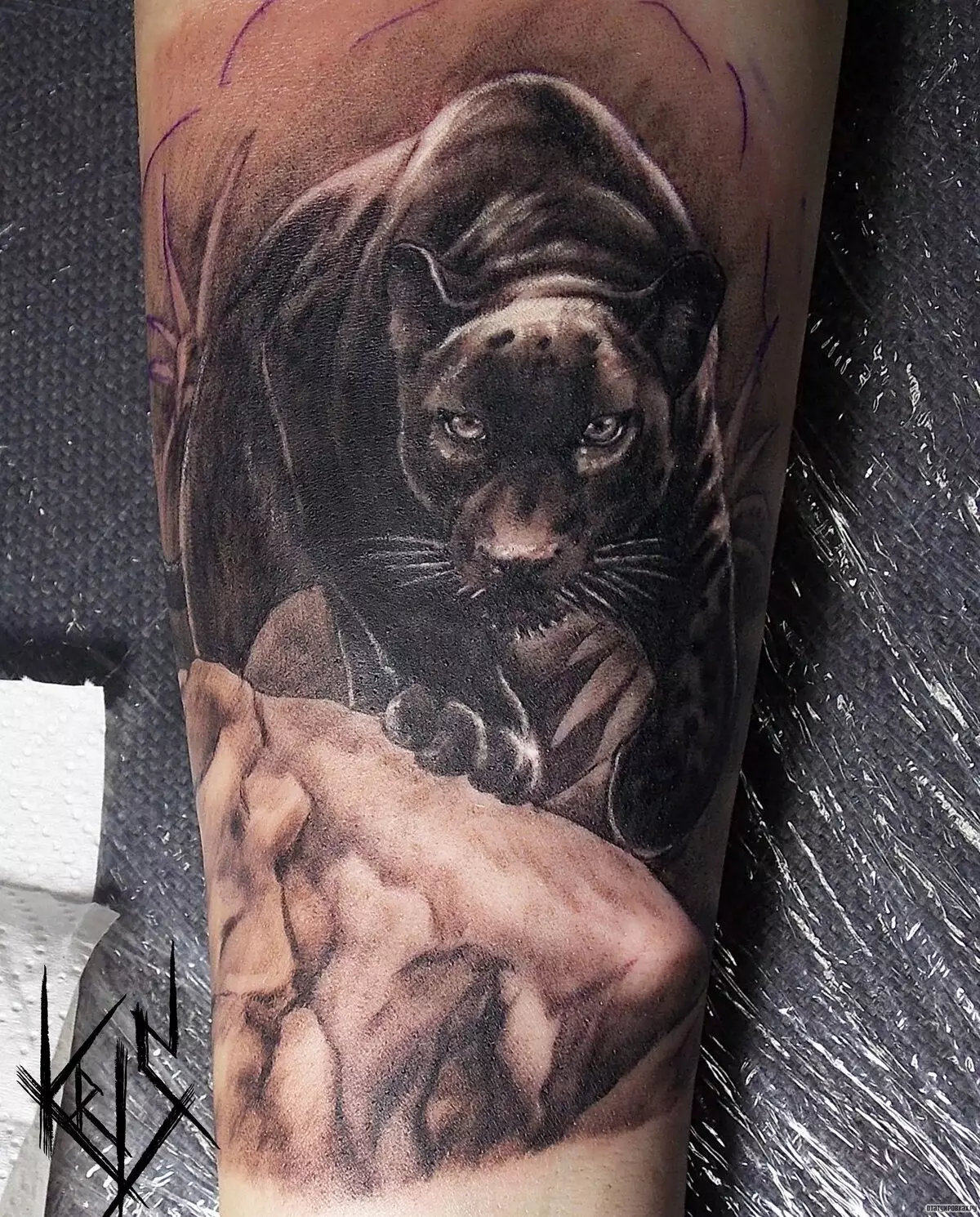 紋身“Panther”（42張）：紋身的價值和草圖。黑色和粉紅色的豹是什麼意思，磨呢？紋身在手上，在我的肩膀和腿上 14160_40