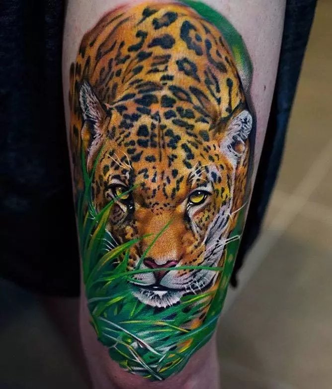 «Jaguar» татуировкасы: Мәні, ерлер мен қыздар үшін татуировкалардың эскиздері, артқы және кеудедегі қыздар үшін. OSCAL Jaguar және дененің әртүрлі бөліктері үшін жыртқыштың басқа нұсқалары 14161_12