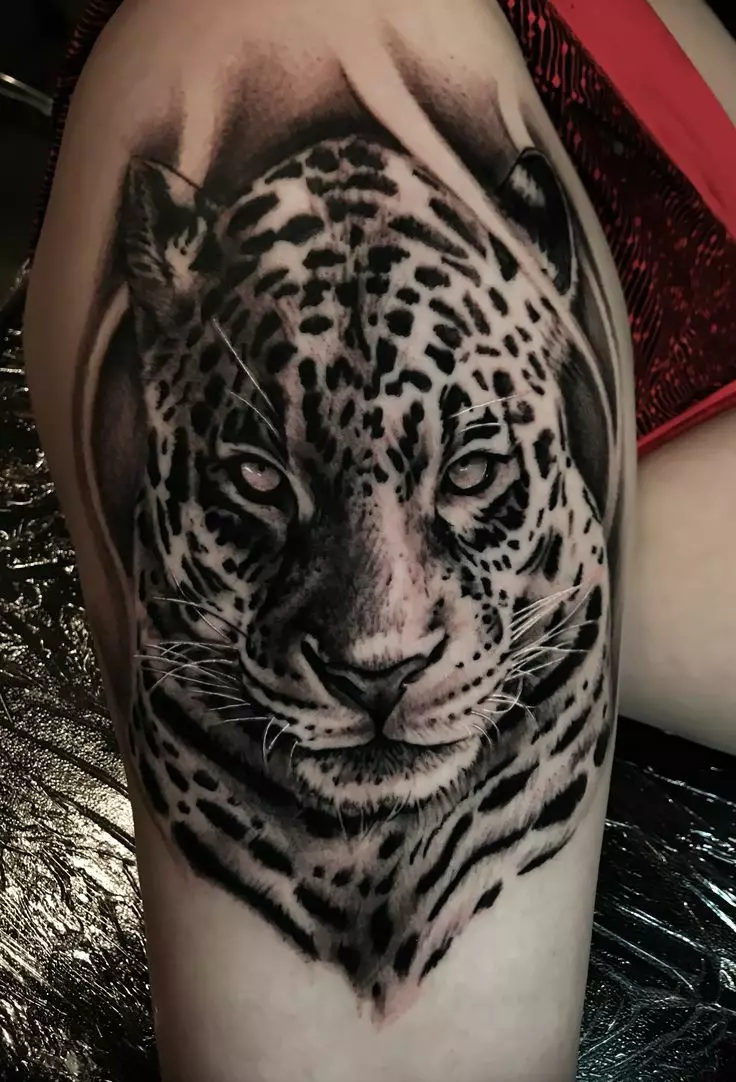 «Jaguar» татуировкасы: Мәні, ерлер мен қыздар үшін татуировкалардың эскиздері, артқы және кеудедегі қыздар үшін. OSCAL Jaguar және дененің әртүрлі бөліктері үшін жыртқыштың басқа нұсқалары 14161_25