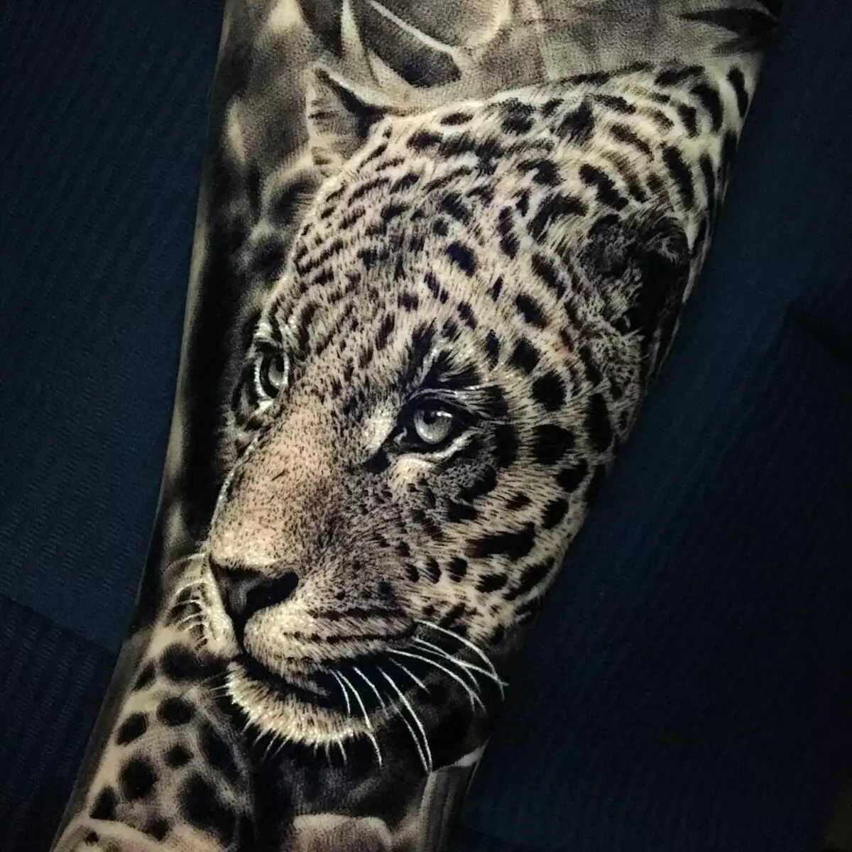 «Jaguar» татуировкасы: Мәні, ерлер мен қыздар үшін татуировкалардың эскиздері, артқы және кеудедегі қыздар үшін. OSCAL Jaguar және дененің әртүрлі бөліктері үшін жыртқыштың басқа нұсқалары 14161_26
