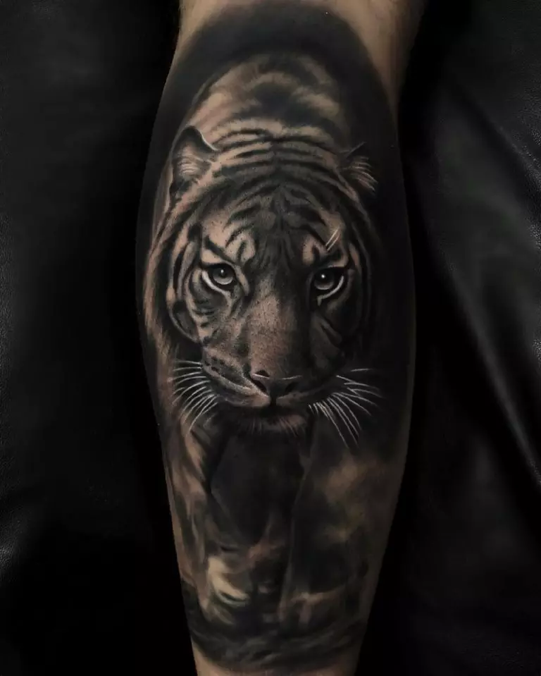 Tattoo met tijgers (44 foto's): schetsen en de waarde van tatoeages, tatoeage op de schouder en bij de hand, op de borst en op de achterkant, op de voet en op de borstel, op de onderarm en in andere zones 14168_10