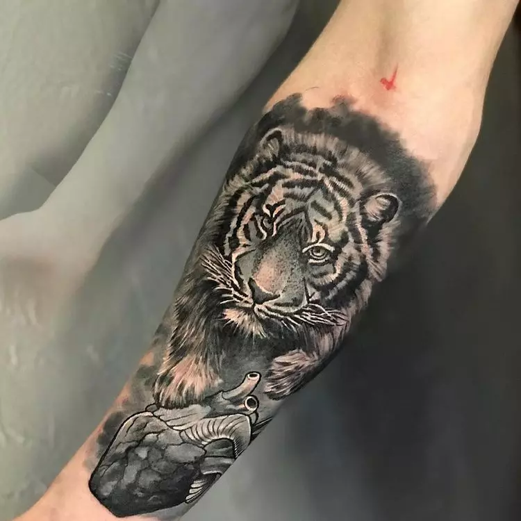 Tattoo met tijgers (44 foto's): schetsen en de waarde van tatoeages, tatoeage op de schouder en bij de hand, op de borst en op de achterkant, op de voet en op de borstel, op de onderarm en in andere zones 14168_21