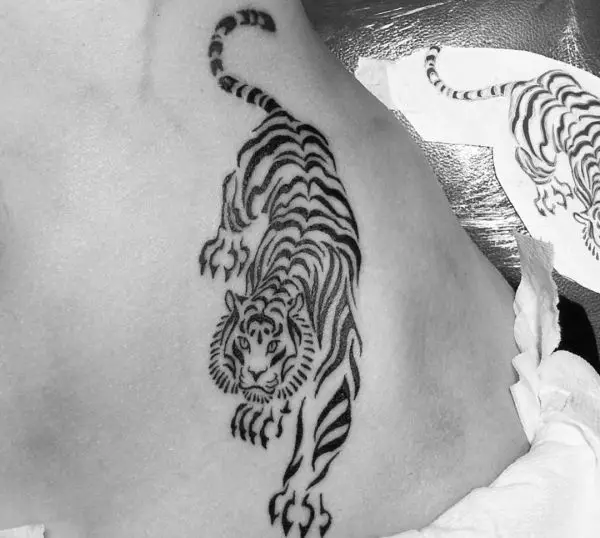 Tattoo met tijgers (44 foto's): schetsen en de waarde van tatoeages, tatoeage op de schouder en bij de hand, op de borst en op de achterkant, op de voet en op de borstel, op de onderarm en in andere zones 14168_27