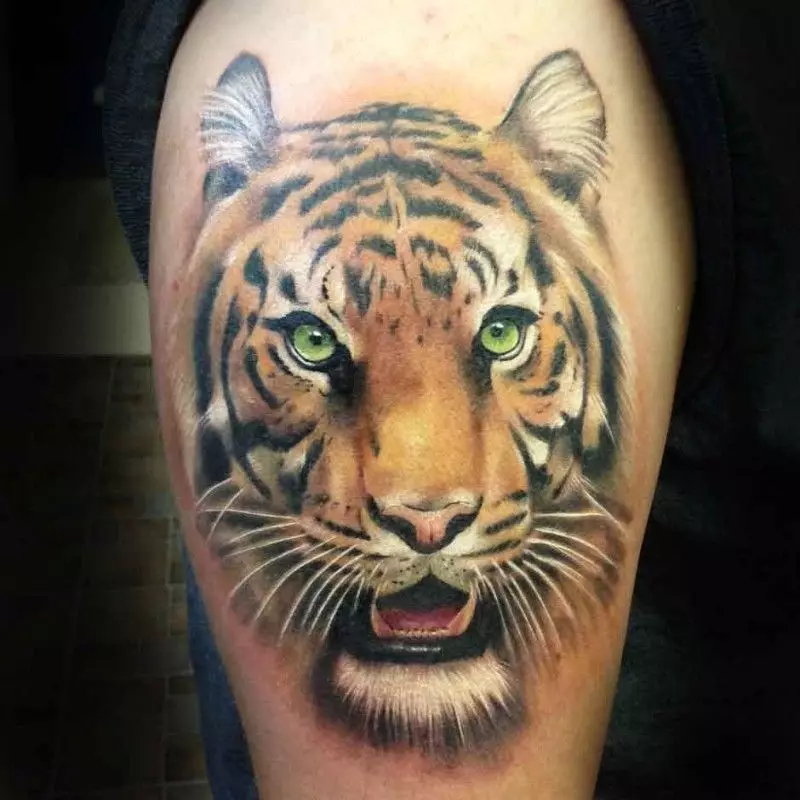 Tattoo met tijgers (44 foto's): schetsen en de waarde van tatoeages, tatoeage op de schouder en bij de hand, op de borst en op de achterkant, op de voet en op de borstel, op de onderarm en in andere zones 14168_36