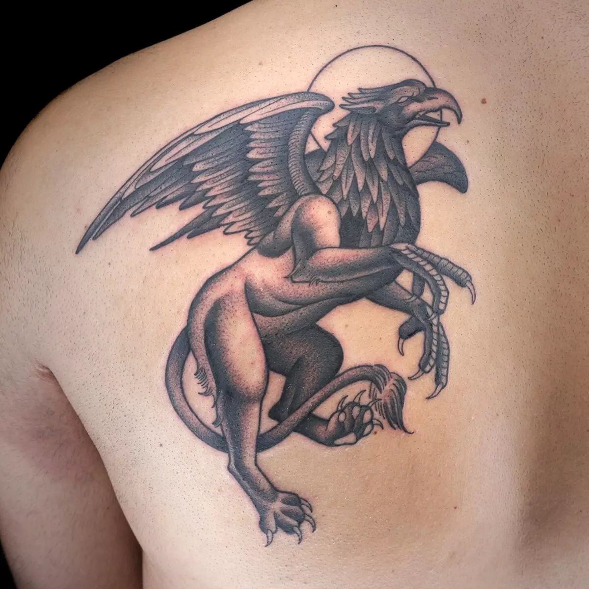 Tato dengan Griffins (27 foto): Nilai tato untuk pria dan untuk anak perempuan, sketsa tato di tangan dan di belakang, di dada dan di zona lain 14175_11