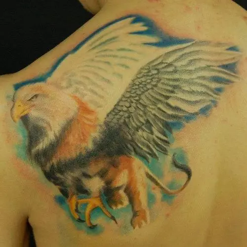 Tattoo z griffins (27 fotografij): vrednost tetovaže za moške in dekleta, skic za tetovažo na roki in na hrbtni strani, na prsih in na drugih območjih, 14175_17