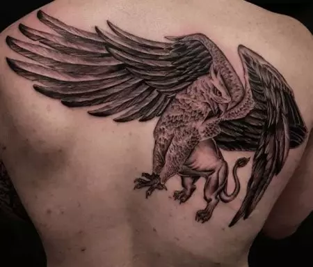 Tattoo me Griffins (27 foto): Vlera e tatuazheve për burrat dhe për vajzat, skicat e tatuazhit në dorë dhe në anën e pasme, në gjoks dhe në zona të tjera 14175_24