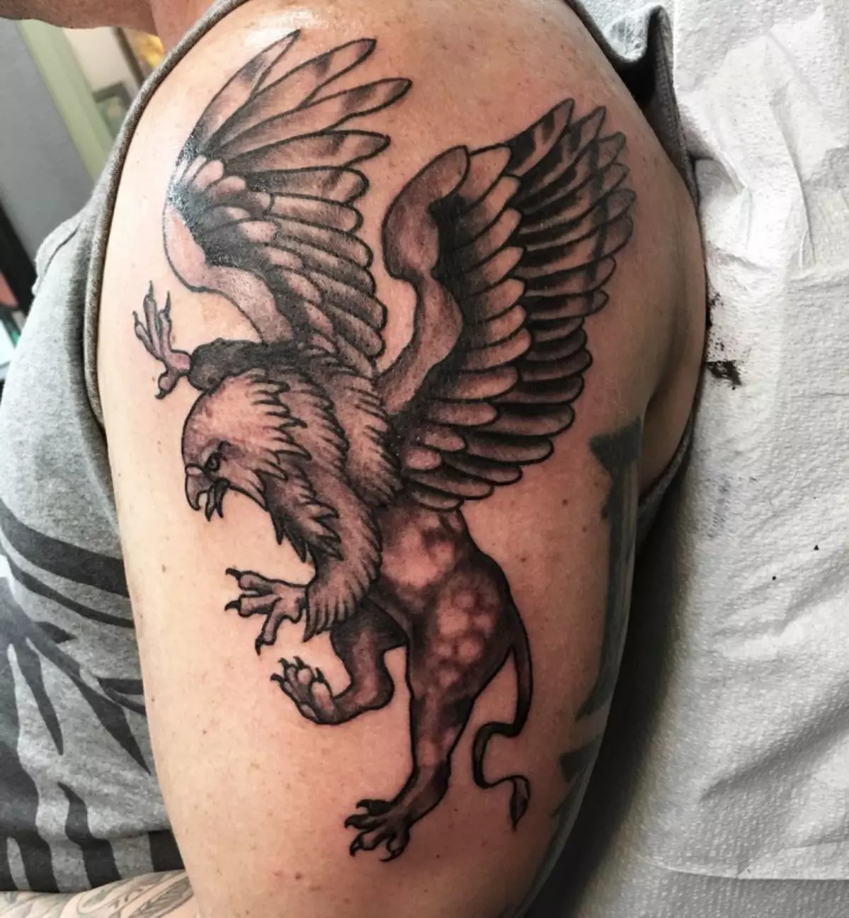 Tattoo z griffins (27 fotografij): vrednost tetovaže za moške in dekleta, skic za tetovažo na roki in na hrbtni strani, na prsih in na drugih območjih, 14175_6