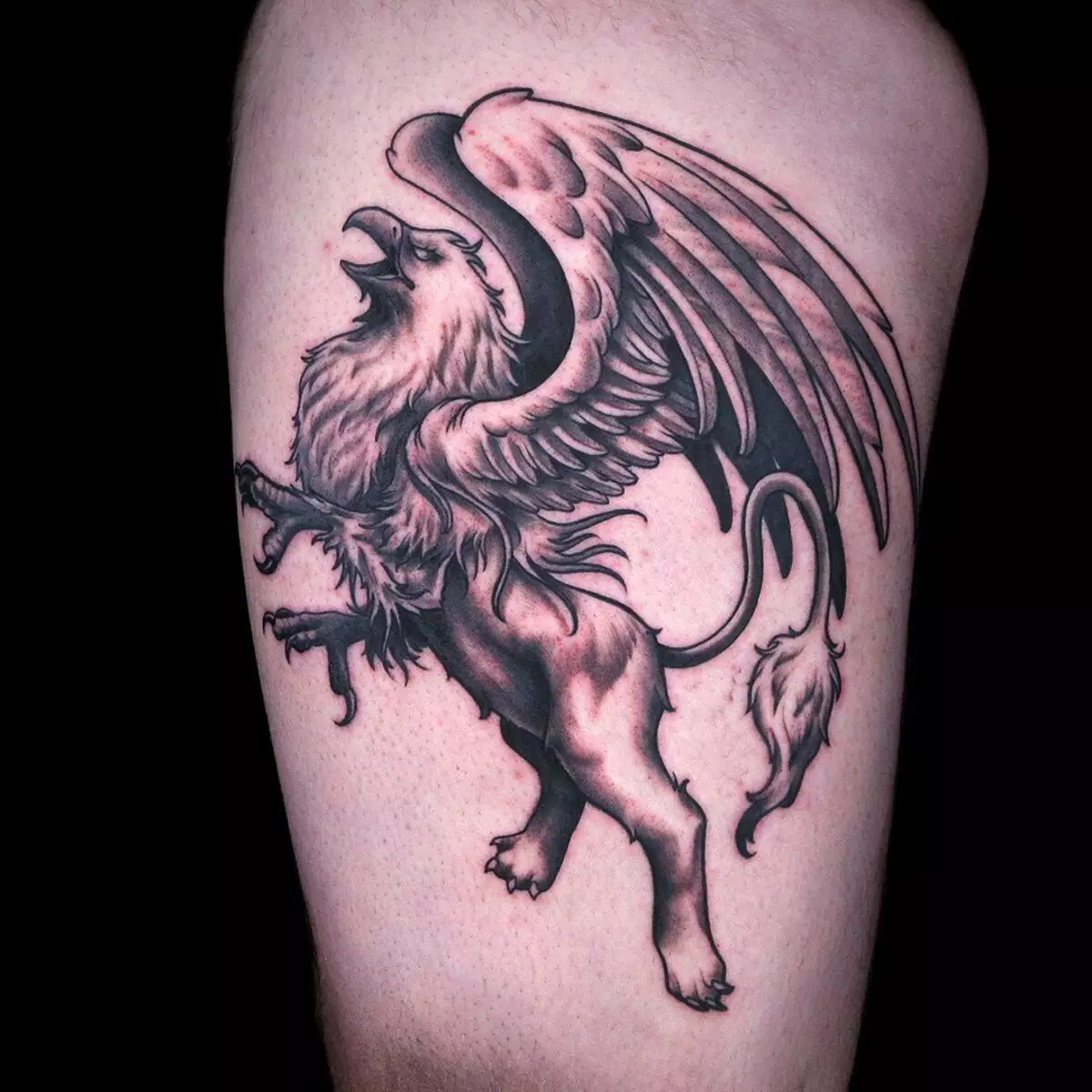 Tattoo me Griffins (27 foto): Vlera e tatuazheve për burrat dhe për vajzat, skicat e tatuazhit në dorë dhe në anën e pasme, në gjoks dhe në zona të tjera 14175_7