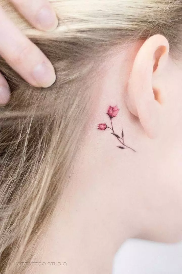 Tattoo bak øret for jenter (39 bilder): skisser av små tatoveringer, verdien av kvinners mini-tatovering, tatoveringer med stjerner og inskripsjoner, slanger og fjær, andre alternativer 14190_15
