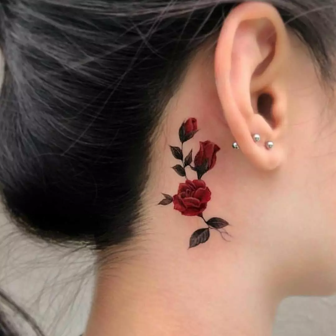 女の子のための耳の後ろのタトゥー（39写真）：小さな入れ墨のスケッチ、女性のミニタットの価値、星と碑文、ヘビ、羽、その他のオプション 14190_27