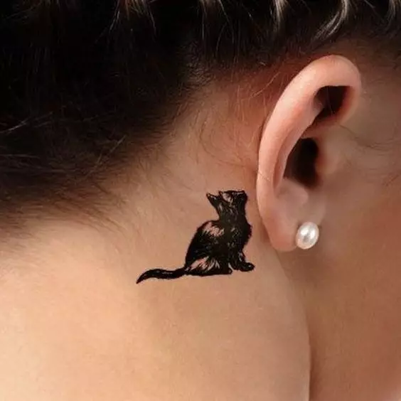 Tato di belakang telinga untuk anak perempuan (39 foto): sketsa tato kecil, nilai tato mini wanita, tato dengan bintang dan prasasti, ular dan bulu, pilihan lain 14190_32