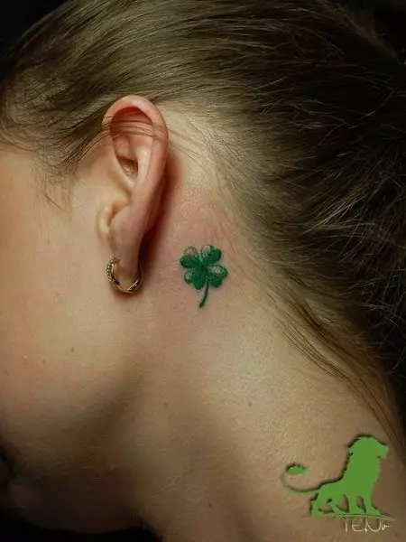 Tato di belakang telinga untuk anak perempuan (39 foto): sketsa tato kecil, nilai tato mini wanita, tato dengan bintang dan prasasti, ular dan bulu, pilihan lain 14190_39