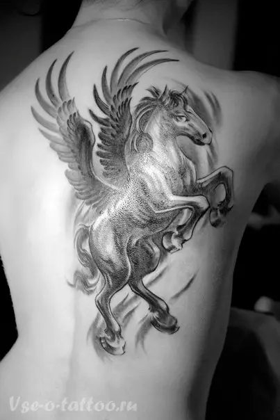 पेगासस टॅटू: पुरुष आणि मुलींसाठी टॅटूचे मूल्य, मागील बाजूस आणि इतर भागात पंख असलेल्या घोडाच्या रूपात घोडाचे स्केच 14193_13