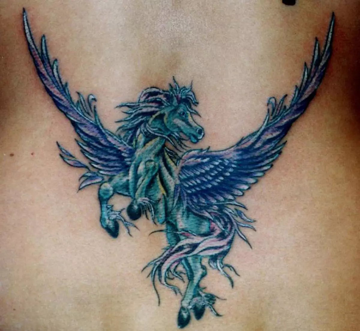 Pegasus Tattoo: il valore dei tatuaggi per uomini e ragazze, schizzi di un cavallo sotto forma di cavallo con le ali sulla schiena e in altre aree 14193_16