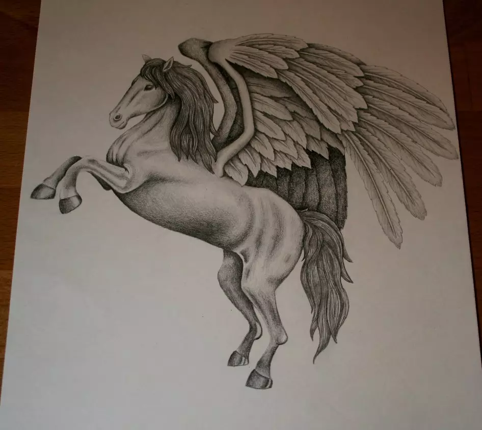 पेगासस टॅटू: पुरुष आणि मुलींसाठी टॅटूचे मूल्य, मागील बाजूस आणि इतर भागात पंख असलेल्या घोडाच्या रूपात घोडाचे स्केच 14193_17
