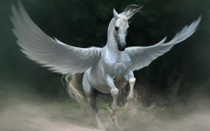 Pegasus Татуировка: стойността на татуировки за мъже и момчета, скици на кон във формата на кон с крила на гърба и в други области 14193_2