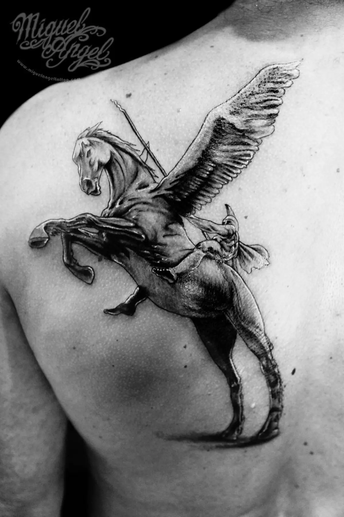Pegasus Tattoo: Valè a nan tatoo pou gason ak tifi, desen nan yon chwal nan fòm lan nan yon chwal ki gen zèl sou do a ak nan lòt zòn 14193_21